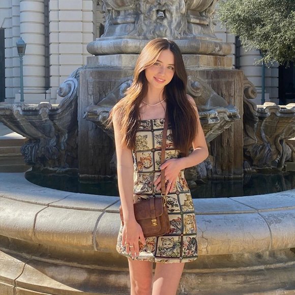 NWT Cider Cat Lover tapestry jumper dress - Picture 2 of 6